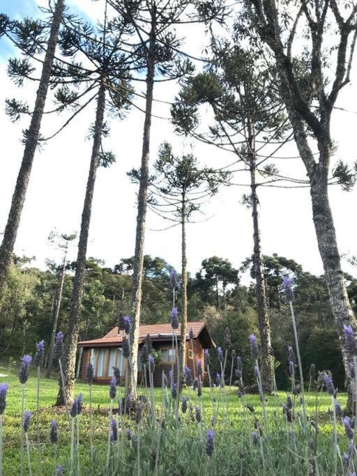 Cabana Do Lenhador - Urubici, Sc 外观 照片