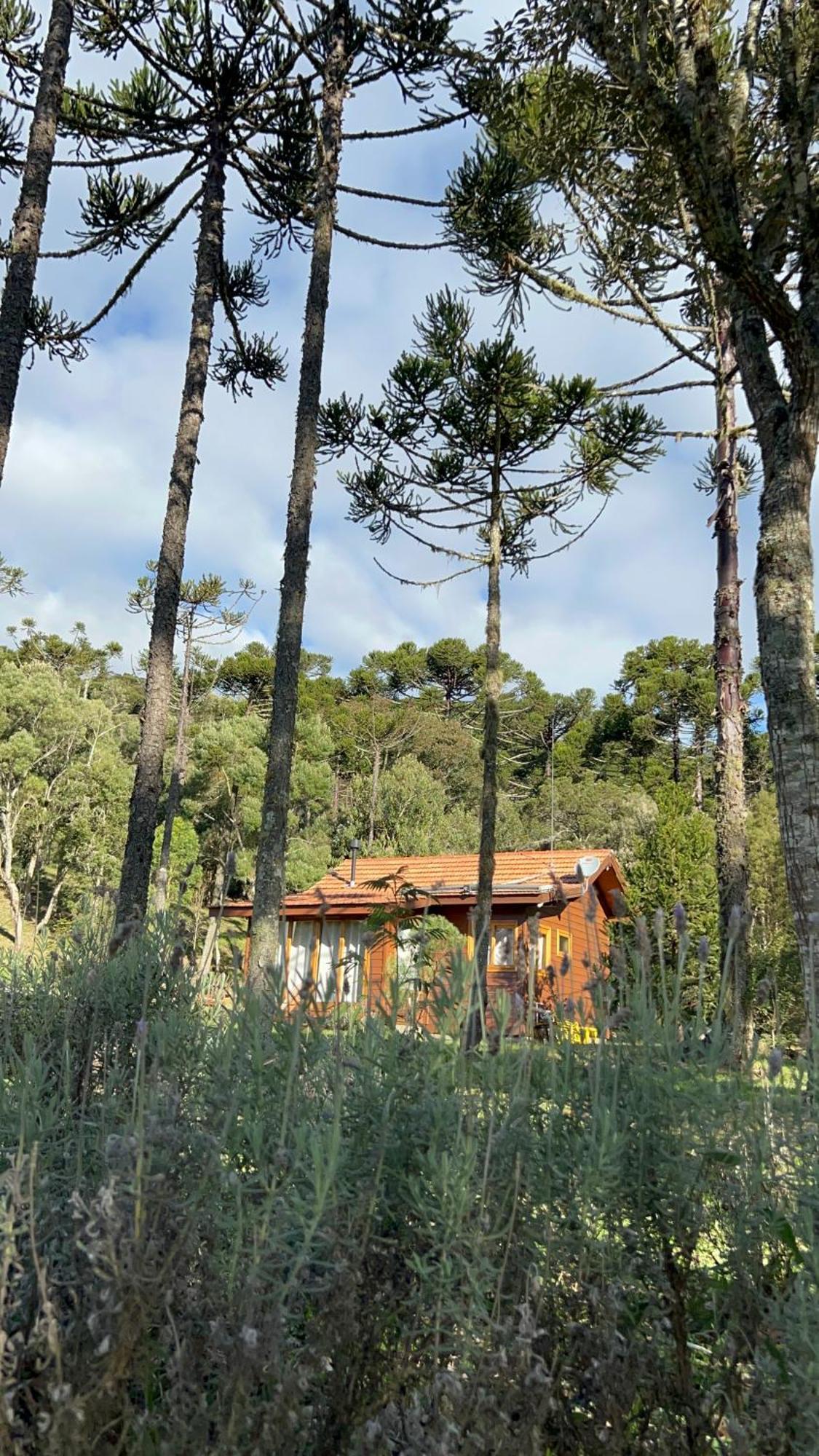 Cabana Do Lenhador - Urubici, Sc 外观 照片