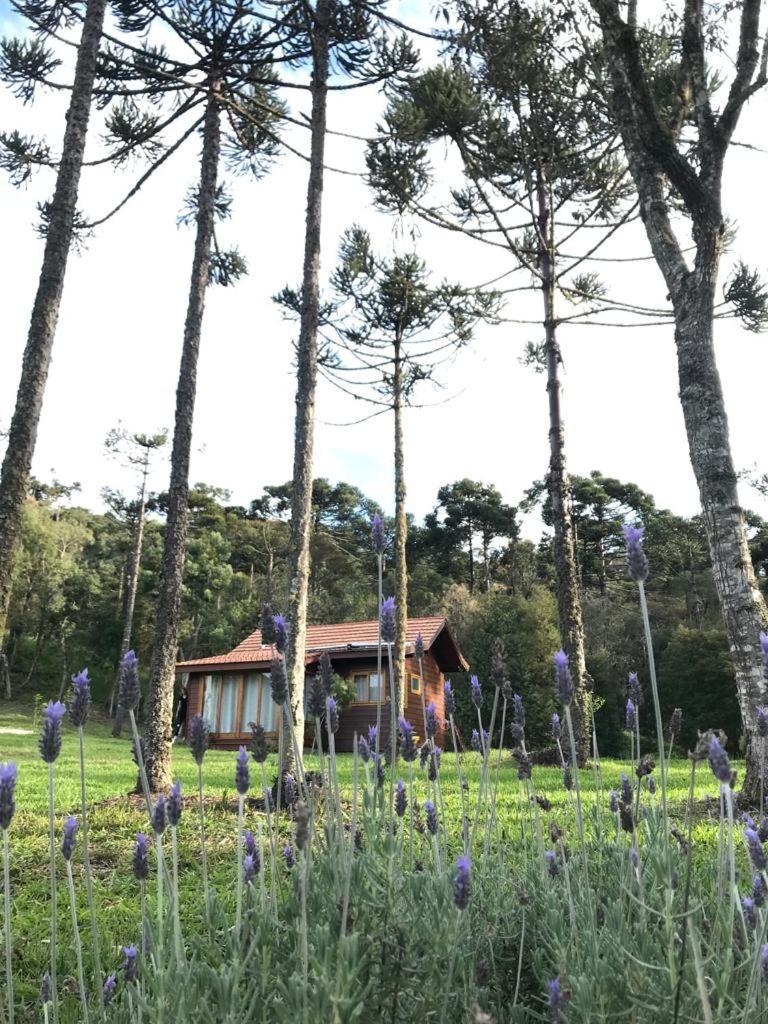 Cabana Do Lenhador - Urubici, Sc 外观 照片